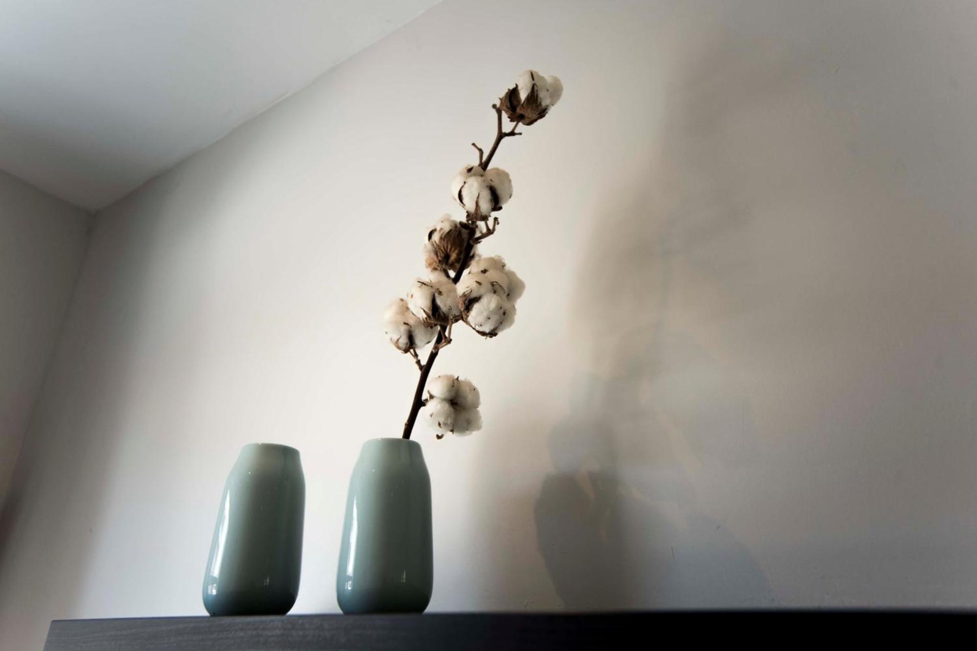 Family Home Hendriks ザントフォールト エクステリア 写真